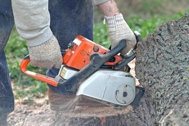 Best Utility Line Clearance  in Topaz Ranch Estates, NV